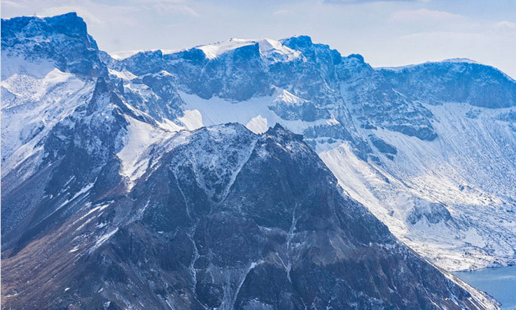 晚安酒黑果果酒